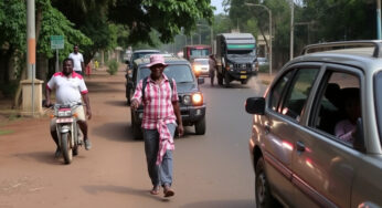 Nairobi: due turisti belgi arrestati con l’accusa di traffico di formiche